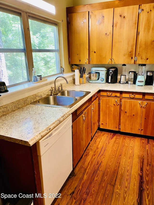 kitchen featuring a sink, light countertops, and dishwasher