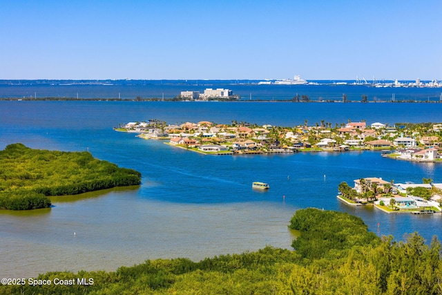 property view of water