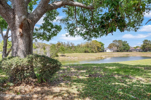 view of yard featuring a water view