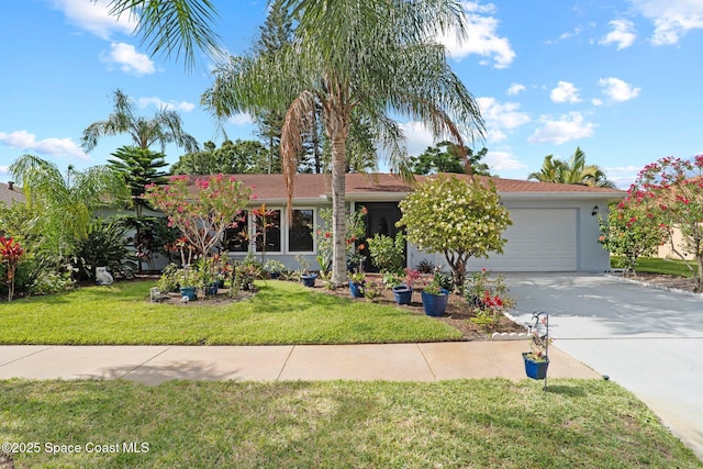 2033 Thistle Dr, Melbourne, FL 32935 - ranch-style house featuring concrete driveway, stucco siding, a front yard, and a garage