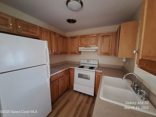 kitchen featuring light wood-style flooring, under cabinet range hood, a sink, white appliances, and light countertops