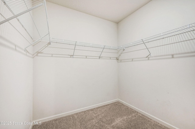 spacious closet with carpet flooring