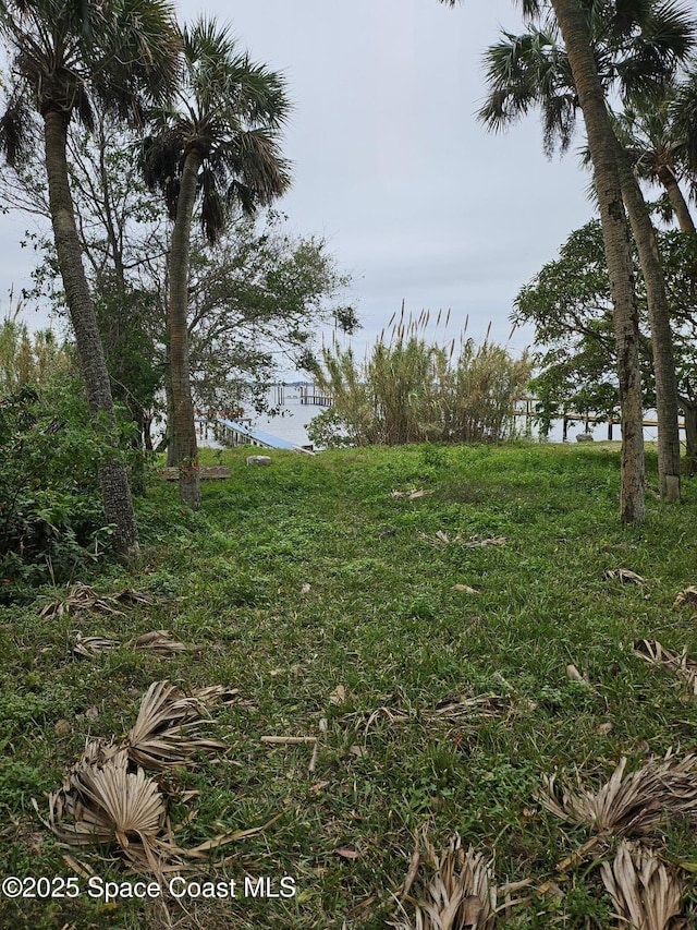 view of yard with a water view