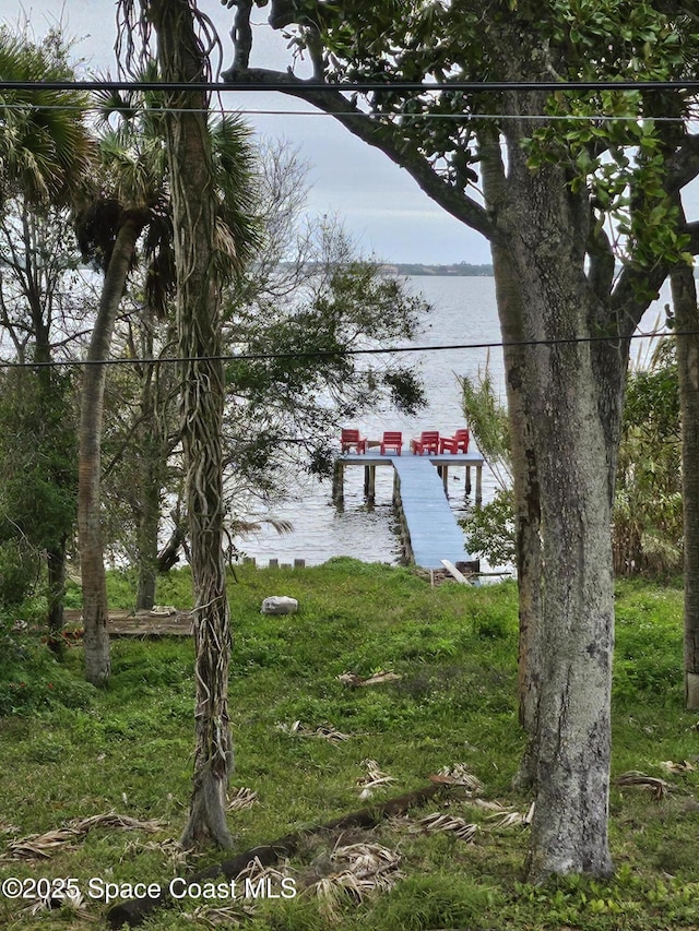 dock area with a water view