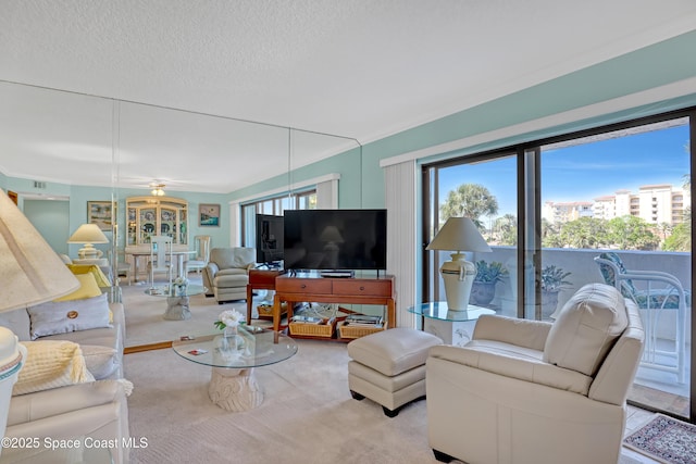 living area featuring a textured ceiling and carpet