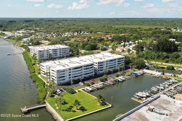 bird's eye view with a water view