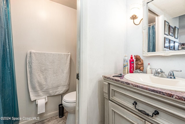 bathroom with toilet and vanity