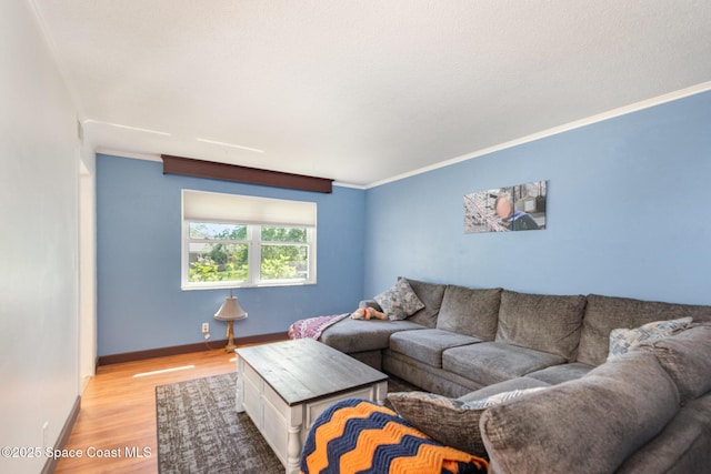 3530 Alan Dr, Titusville, FL 32780 - living room with baseboards, crown molding, and light wood finished floors