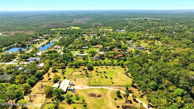 drone / aerial view featuring a view of trees and a water view