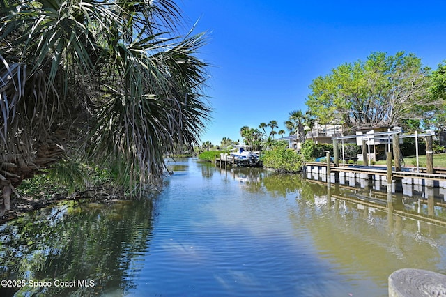 dock area with a water view