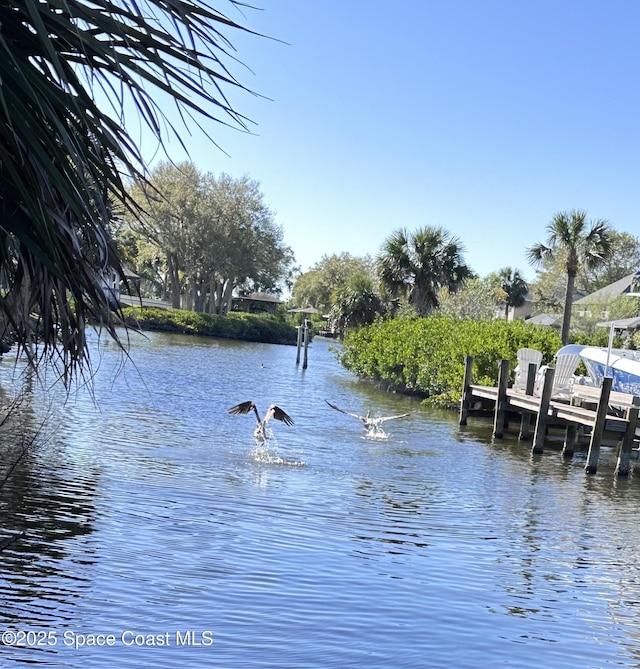 property view of water with a boat dock