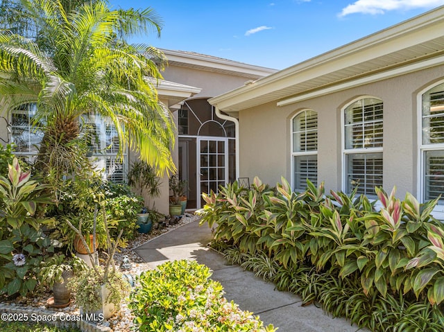 doorway to property with stucco siding