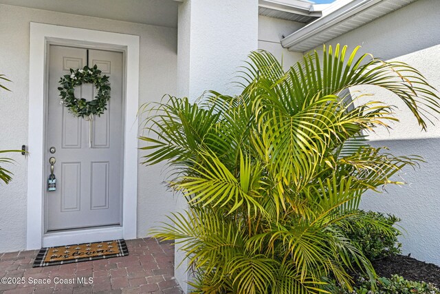 doorway to property with stucco siding