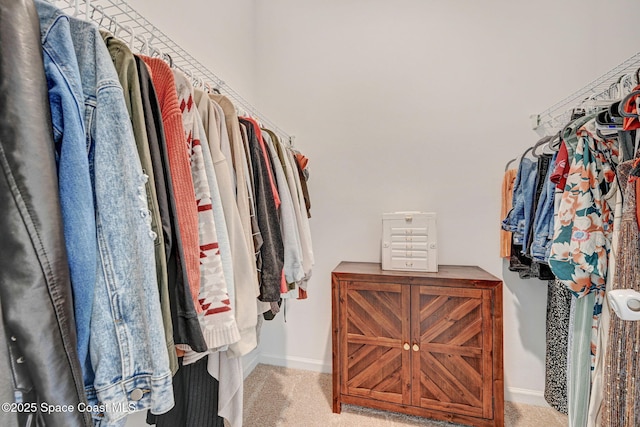 spacious closet with carpet