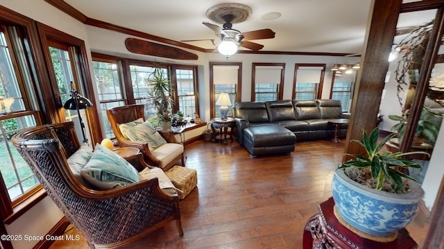 living area featuring wood-type flooring, ornamental molding, and a ceiling fan