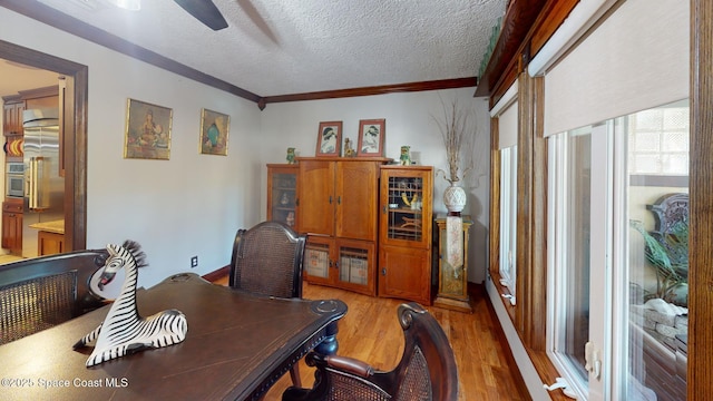 home office with ornamental molding, a ceiling fan, light wood finished floors, and a textured ceiling