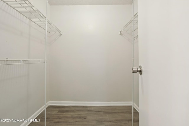 walk in closet featuring wood finished floors