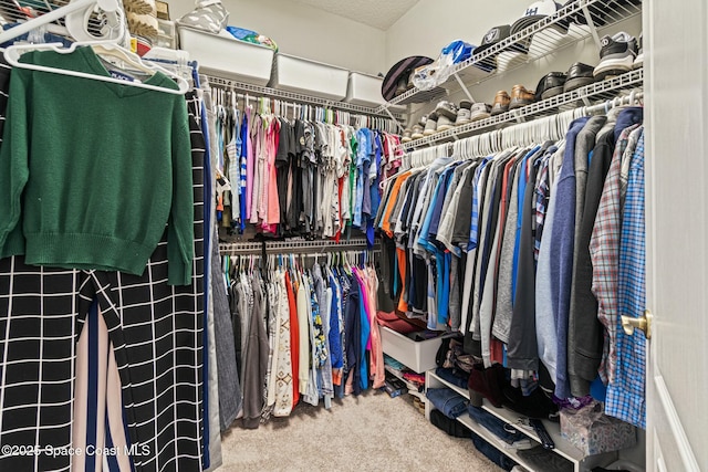 walk in closet featuring carpet floors