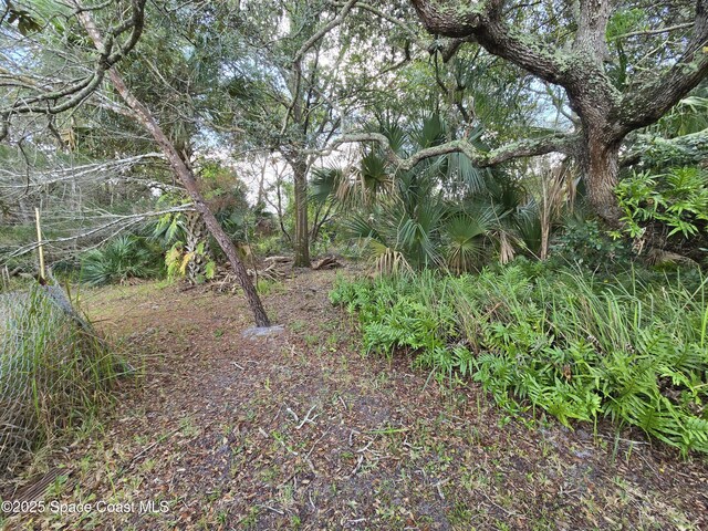 2001 Villa Espana Trl, Melbourne, FL 32935 - view of nature