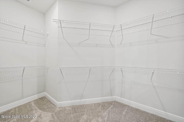 walk in closet with carpet