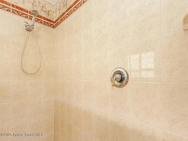 interior details featuring tiled shower