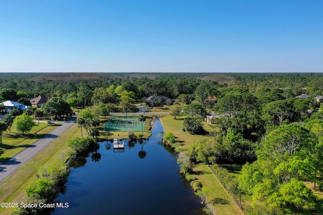 birds eye view of property featuring a view of trees and a water view