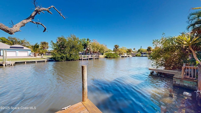 dock area with a water view