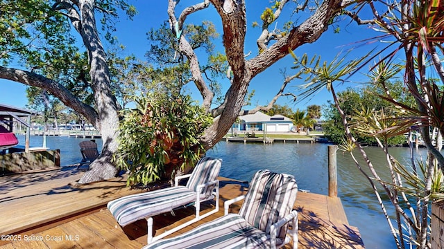 dock area featuring a water view