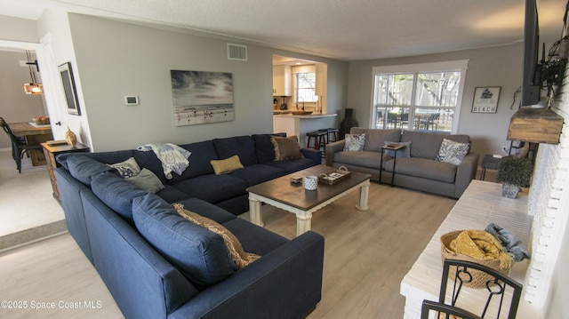 living room featuring visible vents and light wood-style floors