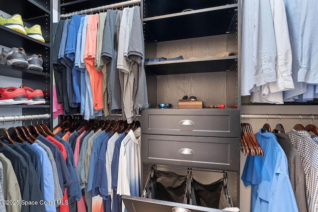 view of spacious closet