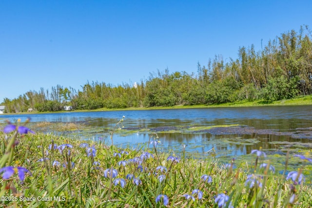2705 Revolution St Unit 106, Melbourne, FL 32935 - water view with a wooded view