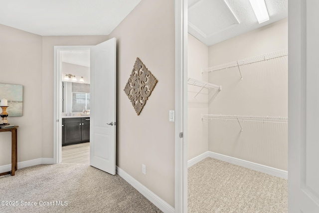 walk in closet featuring attic access and light carpet