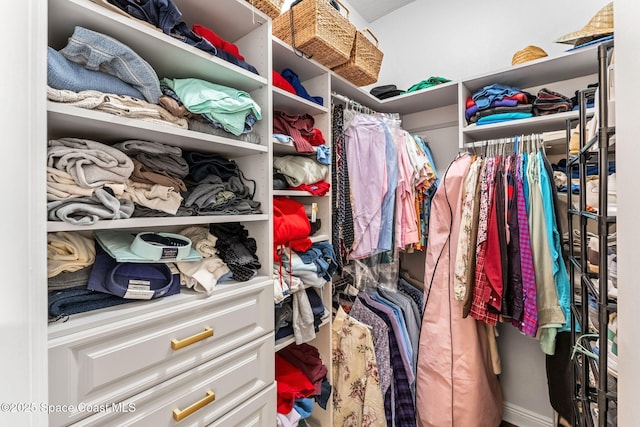 view of walk in closet