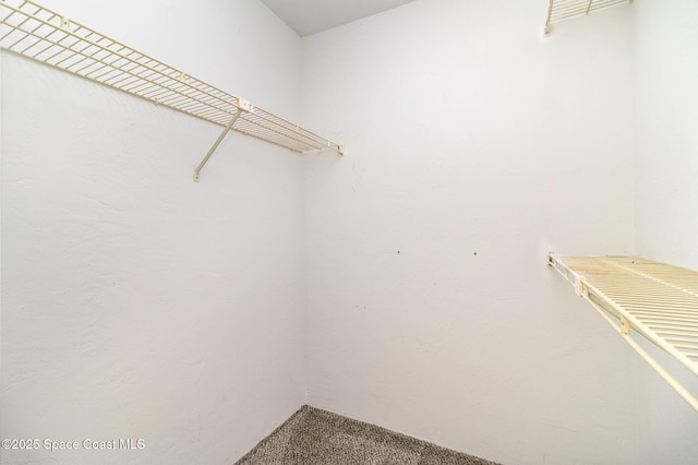 spacious closet with carpet