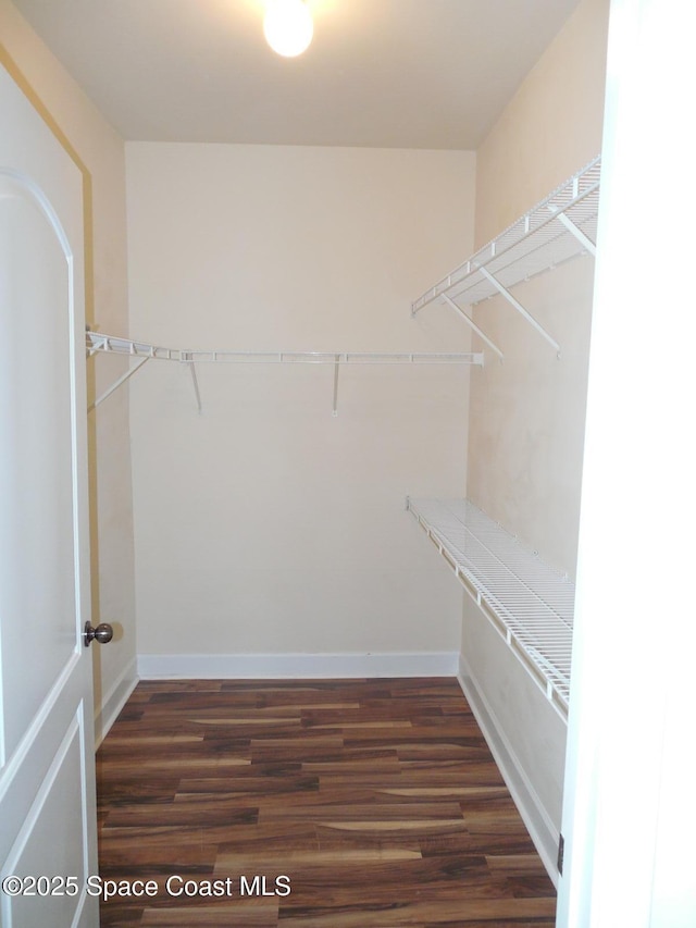 spacious closet featuring dark wood-style flooring