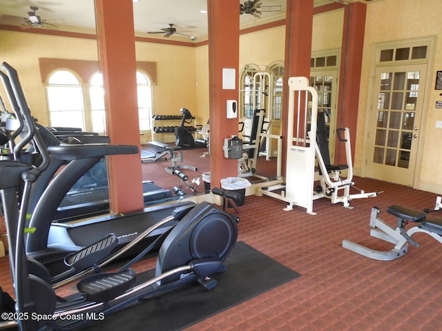 exercise room featuring carpet flooring, ornamental molding, and a ceiling fan