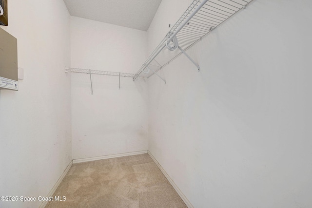 4942 Worthington Cir, Rockledge, FL 32955 - spacious closet featuring light carpet