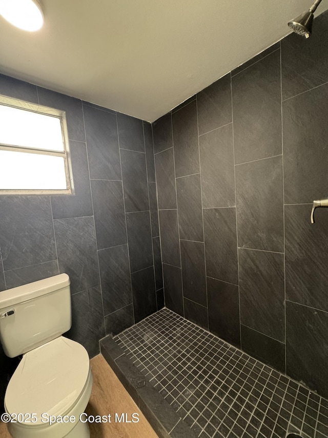 full bath featuring a shower stall and toilet