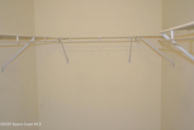 126 Plover Ln Unit 632, Rockledge, FL 32955 - view of walk in closet