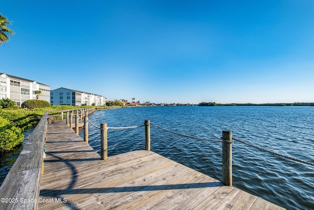 dock area with a water view