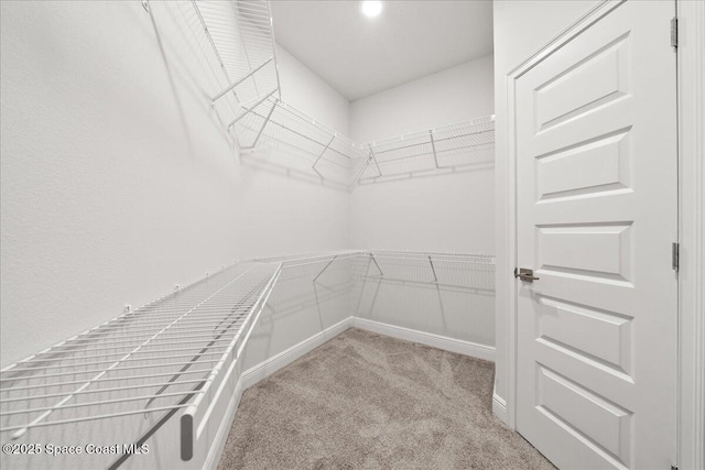 spacious closet with carpet flooring