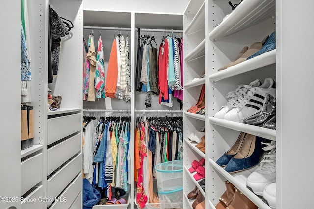 view of spacious closet