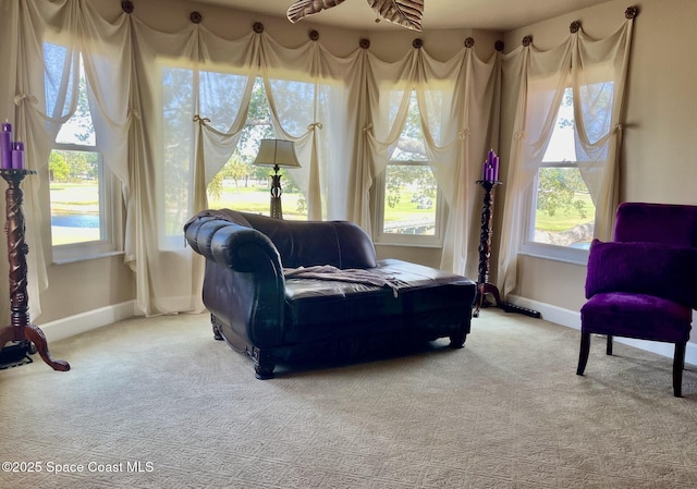 living area featuring baseboards and carpet