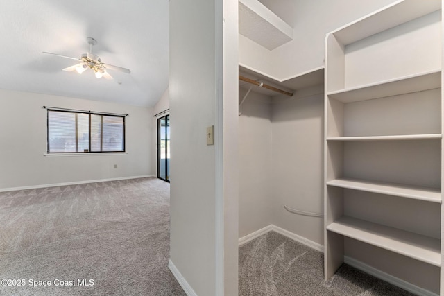 walk in closet featuring a ceiling fan, lofted ceiling, and carpet