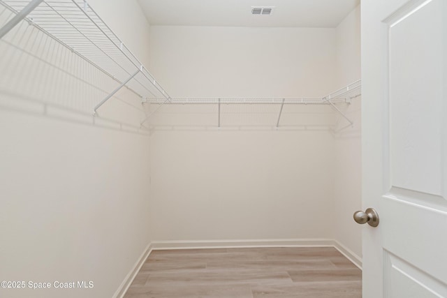 walk in closet featuring visible vents and light wood-type flooring