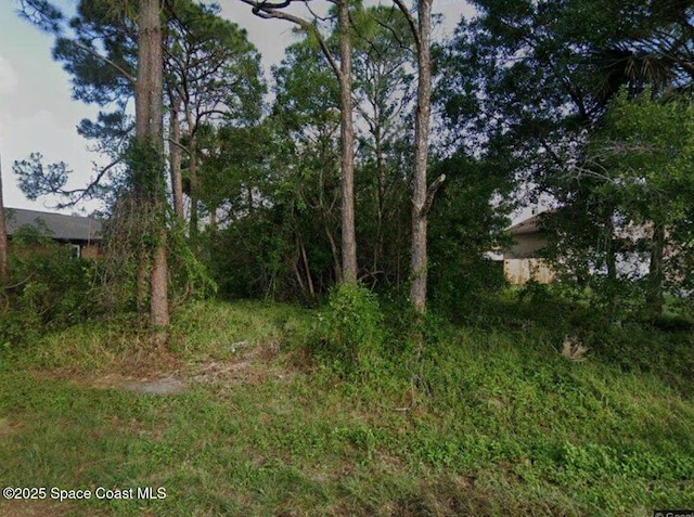 1055 Dolores Rd NE, Palm Bay FL, 32907 land for sale