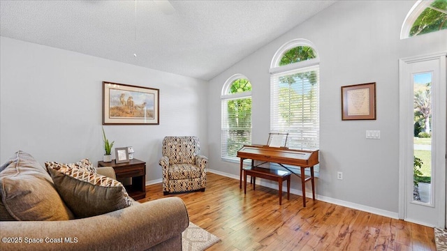 living area with baseboards, a textured ceiling, lofted ceiling, and wood finished floors