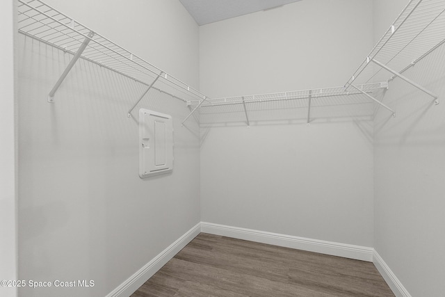 walk in closet with electric panel and wood finished floors