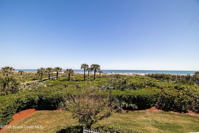 view of water feature featuring a view of the beach