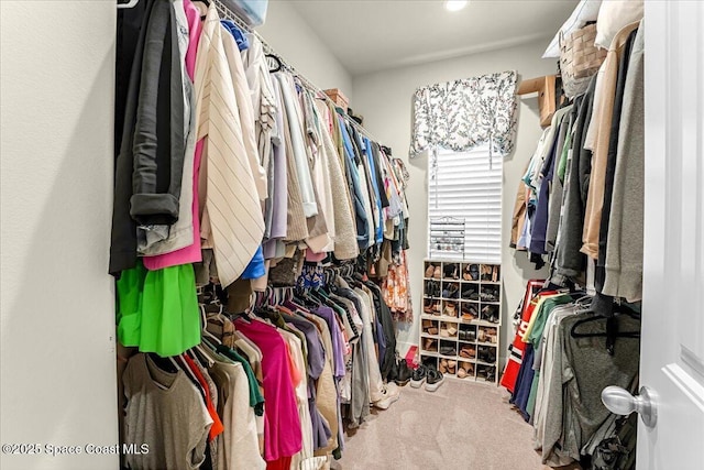 spacious closet with carpet floors